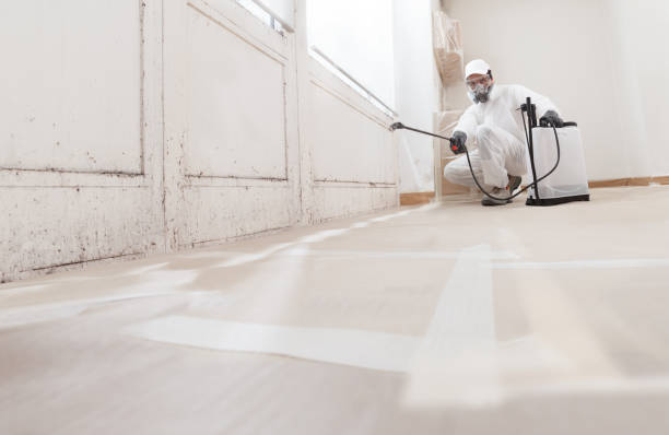24/7 Emergency Attic Mold Removal experts in Abingdon, VA